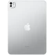 iPad Pro 11