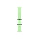 Apple Watch Ultra 3 (2025) Black Titanium Neon Green Ocean band