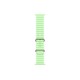 Apple Watch Ultra 3 (2025) Natural Titanium Neon Green Ocean band 