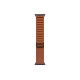 Apple Watch Ultra 3 (2025) Black Titanium Terra Cotta Alpine loop