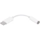 Переходник Apple MU7E2ZM/A mini-Jack 3.5 USB Type-C белый