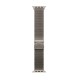 Apple Watch Ultra 3 (2025) Natural Titanium + Titanium Milanese Loop