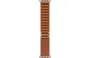 Alpine Loop Apple Watch Ultra 3 (2025) Natural Titanium Terra Cotta Alpine loop 