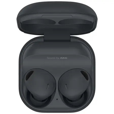 Samsung Galaxy Buds2 Pro Graphite