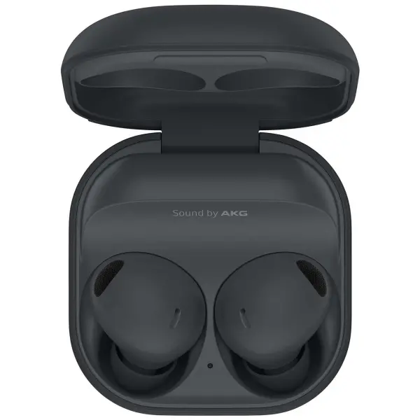 Samsung Galaxy Buds2 Pro Graphite