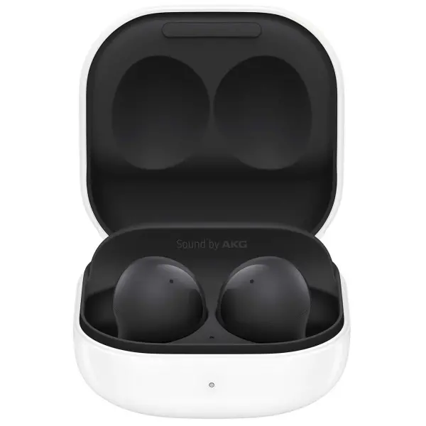 Samsung Galaxy Buds2 Graphire