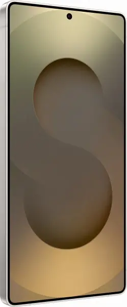 Samsung Galaxy S25 Ultra 12/256GB Titanium Gray