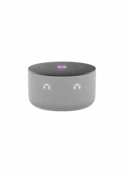  Яндекс Станция Мини 3 Gray